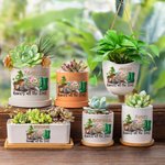 Personalized Know All the Dirt Floral Name Ceramic Planter Pot with Hole Drainage and Wooden Base Home Decor Mother's Day Gift for Mom Grandma