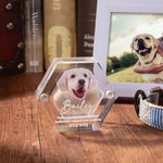 Boîte Commémorative Magnétiques Personnalisée avec Photo et Nom Ailes d'Ange Cadeau Perte d'Animaux pour Amoureux des Animaux