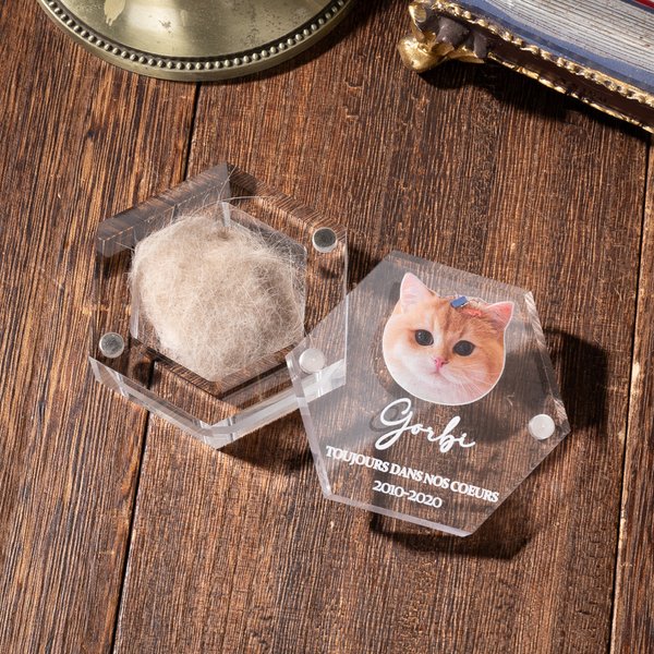Boîte Commémorative Magnétiques Personnalisée avec Photo et Nom Ailes d'Ange Cadeau Perte d'Animaux pour Amoureux des Animaux