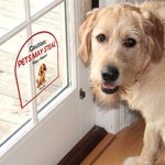Personalized Keep Door Closed 1-4 3D Cartoon Pets Waterproof Window Door Decal Sticker with Name Birthday Housewarming Gift for Dog Cat Lovers