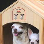 Personalized Keep Door Closed 1-4 3D Cartoon Pets Waterproof Window Door Decal Sticker with Name Birthday Housewarming Gift for Dog Cat Lovers