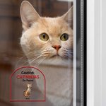 Personalized Keep Door Closed 1-4 3D Cartoon Pets Waterproof Window Door Decal Sticker with Name Birthday Housewarming Gift for Dog Cat Lovers