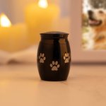 Urne de cendres personnalisée avec nom et texte Cadeau de sympathie pour la perte d'un chat ou d'un chien