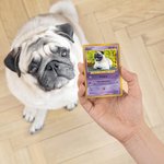 Carte Poke Classic TCG Personnalisée avec Photo Film Protecteur Collection Cartes de Jeu Cadeau Anniversaire pour Enfant Couple Amoureux des Animaux