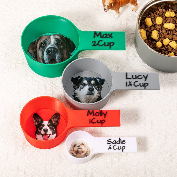 Personalised Multicolour Pet Avatar Photo Food Scoop with Name Pet Party Birthday Gift for Dog Owners