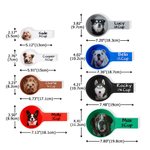 Personalised Multicolour Pet Avatar Photo Food Scoop with Name Pet Party Birthday Gift for Dog Owners