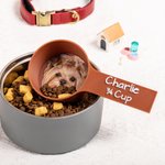 Personalised Multicolour Pet Avatar Photo Food Scoop with Name Pet Party Birthday Gift for Dog Owners