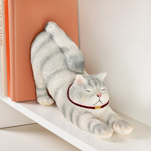 Personalized Cute Lazy Cat Non-slip Bookend with Name Desk Bookshelf Decor Birthday Gift for Bookworms Cat Lovers