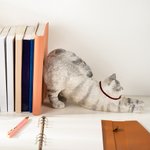Personalized Cute Lazy Cat Non-slip Bookend with Name Desk Bookshelf Decor Birthday Gift for Bookworms Cat Lovers