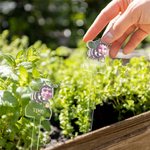 Cartello personalizzato in acrilico con nome giardino della nonna ed etichette e 1-8 foto avatar di api regalo per festa della mamma per nonne