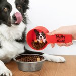 Personalised Multicolour Pet Avatar Photo Food Scoop with Name Pet Party Birthday Gift for Dog Owners