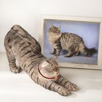 Personalized Cute Lazy Cat Non-slip Bookend with Name Desk Bookshelf Decor Birthday Gift for Bookworms Cat Lovers