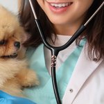 Personalised Cute Dog Face Stethoscope ID Tag with Name and Birthstone Appreciation Graduation Birthday Gift for Veterinary Pet Lovers