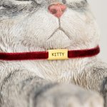 Personalized Cute Lazy Cat Non-slip Bookend with Name Desk Bookshelf Decor Birthday Gift for Bookworms Cat Lovers