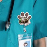 Personalizado Corazón Mascota Foto Acrílico Retráctil Insignia Carrete con Insignia Buddy Cumpleaños Vet Tech Accesorios Regalo para Veterinarios Pet Lovers