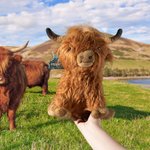 Personalized Cute Highland Cow Soft Stuffed Plush Toy with Name Ear Tag Birthday Baby Shower Gift for Boys Girls Cow Lovers