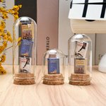 Gepersonaliseerde 1-3 Mini boek Display glazen koepel Cloche met kurk Base Desk Boekenplank Decor Verjaardag Book Club Gift voor boekenliefhebbers lezers