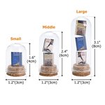 Gepersonaliseerde 1-3 Mini boek Display glazen koepel Cloche met kurk Base Desk Boekenplank Decor Verjaardag Book Club Gift voor boekenliefhebbers lezers
