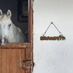 Personalisierte Multicolor 3D gedruckt Pferd Name Platte Pferd Stall Dekor Geburtstagsgeschenk für Pferdeliebhaber Besitzer