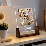 Personalisierte 1-5 Fotos Acryl LED-Nachtlicht mit hölzernen Basis Name und Text Home Decor Geburtstag Jahrestag Geschenk für Tierhalter