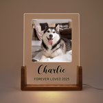 Personalisierte 1-5 Fotos Acryl LED-Nachtlicht mit hölzernen Basis Name und Text Home Decor Geburtstag Jahrestag Geschenk für Tierhalter
