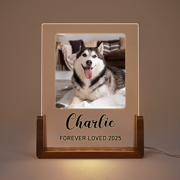 Luce notturna a LED in acrilico personalizzata con 1-5 foto e base in legno Nome e testo Regalo di compleanno e anniversario per il proprietario di un animale domestico
