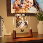 Personalisierte 1-5 Fotos Acryl LED-Nachtlicht mit hölzernen Basis Name und Text Home Decor Geburtstag Jahrestag Geschenk für Tierhalter