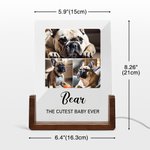 Personalisierte 1-5 Fotos Acryl LED-Nachtlicht mit hölzernen Basis Name und Text Home Decor Geburtstag Jahrestag Geschenk für Tierhalter