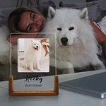 Personalisierte 1-5 Fotos Acryl LED-Nachtlicht mit hölzernen Basis Name und Text Home Decor Geburtstag Jahrestag Geschenk für Tierhalter
