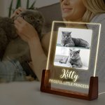 Personalisierte 1-5 Fotos Acryl LED-Nachtlicht mit hölzernen Basis Name und Text Home Decor Geburtstag Jahrestag Geschenk für Tierhalter