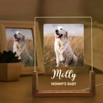 Personalisierte 1-5 Fotos Acryl LED-Nachtlicht mit hölzernen Basis Name und Text Home Decor Geburtstag Jahrestag Geschenk für Tierhalter