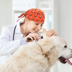 Calot Chirurgical Multicolore Personnalisé Os Patte Cœur et Photos de Visage Cadeau d’Anniversaire Remerciement pour Infirmière Médecin ou Vétérinaire
