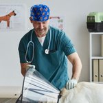 Calot Chirurgical Multicolore Personnalisé Os Patte Cœur et Photos de Visage Cadeau d’Anniversaire Remerciement pour Infirmière Médecin ou Vétérinaire