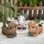Personalisierte Mini Hochland Kuh Milchkuh Sukkulenten Pflanzgefäß mit Namen Ohrmarke und Drainage Home Decor Geburtstagsgeschenk für Familie Freund