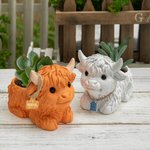 Personalisierte Mini Hochland Kuh Milchkuh Sukkulenten Pflanzgefäß mit Namen Ohrmarke und Drainage Home Decor Geburtstagsgeschenk für Familie Freund