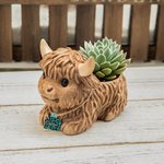 Personalisierte Mini Hochland Kuh Milchkuh Sukkulenten Pflanzgefäß mit Namen Ohrmarke und Drainage Home Decor Geburtstagsgeschenk für Familie Freund