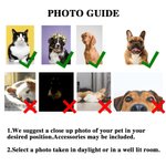 Personlig akvarell 1-3 kjæledyrfoto TPU-telefonveske for iPhone Samsung med navn flerfarget tilgjengelig bursdagsgave til hunde- og katteelskere