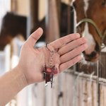 Personalisierte Pferdesattel Acryl Schlüsselanhänger mit Namen Geburtstag Jahrestag Geschenk für Pferdeliebhaber Pferdesportler