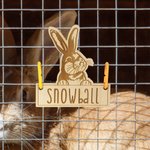Personalized Cute Bunny Wooden Rabbit Cage Tag with Hanging Loops and Engraved Name Cage Decor Accessories Birthday Gift for Pet Rabbit Owners