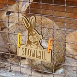 Personalized Cute Bunny Wooden Rabbit Cage Tag with Hanging Loops and Engraved Name Cage Decor Accessories Birthday Gift for Pet Rabbit Owners