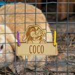 Personalized Cute Bunny Wooden Rabbit Cage Tag with Hanging Loops and Engraved Name Cage Decor Accessories Birthday Gift for Pet Rabbit Owners