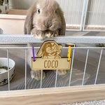 Personalized Cute Bunny Wooden Rabbit Cage Tag with Hanging Loops and Engraved Name Cage Decor Accessories Birthday Gift for Pet Rabbit Owners