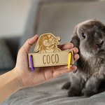 Personalized Cute Bunny Wooden Rabbit Cage Tag with Hanging Loops and Engraved Name Cage Decor Accessories Birthday Gift for Pet Rabbit Owners