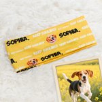 Personalized Multicolour Cheer Slogan Pet Photo Stretchy Anti-sweat Sport Headband with Name Sports Accessory Birthday Gift for Men Women Sports Lovers