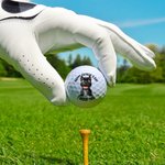 Spersonalizowana miękka gumowa piłka golfowa 3D Cartoon Dog z tytułem Prezent urodzinowy na Dzień Ojca dla taty, dziadka i gracza w golfa