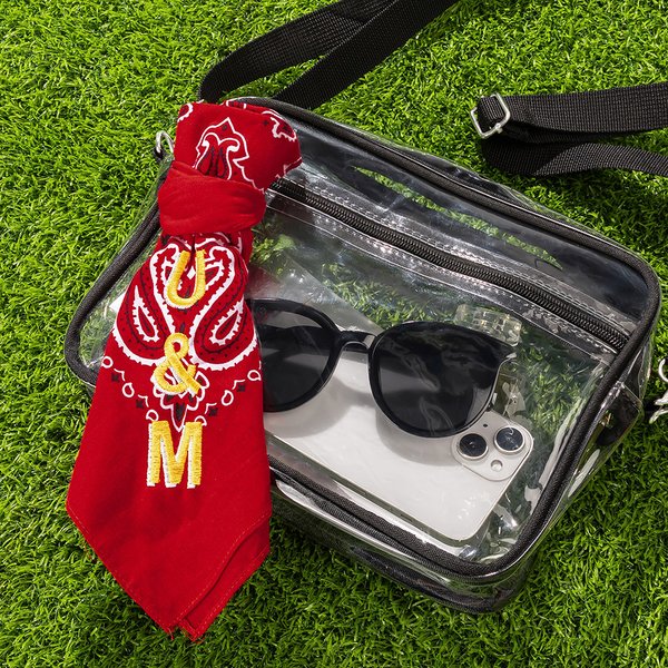 Personalised Retro Removable School Spirit Tag Clear Bag with Embroidered Text Concert Accessory Team Pride Gift for College Student Sports Lovers