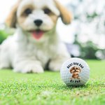 Spersonalizowana miękka gumowa piłka golfowa 3D Cartoon Dog z tytułem Prezent urodzinowy na Dzień Ojca dla taty, dziadka i gracza w golfa