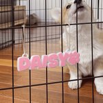 Personalized Dog 3D Printed Multicolor Name Plate with Dog Paw Kennel Accessory Birthday Gift for Pet Lovers