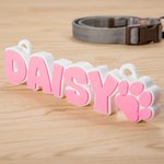 Personalized Dog 3D Printed Multicolor Name Plate with Dog Paw Kennel Accessory Birthday Gift for Pet Lovers