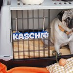 Personalized Dog 3D Printed Multicolor Name Plate with Dog Paw Kennel Accessory Birthday Gift for Pet Lovers